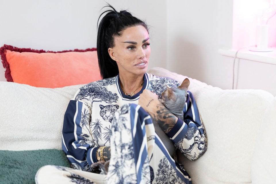 Katie Price in an interview, holding a cat.