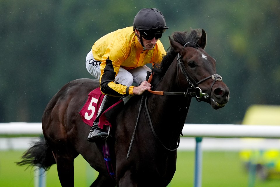 Jockey Daniel Tudhope riding Luther to win a horse race.