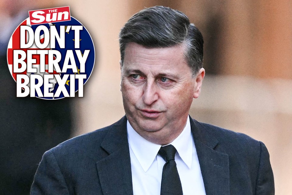 Douglas Alexander with "Don't Betray Brexit" headline superimposed.