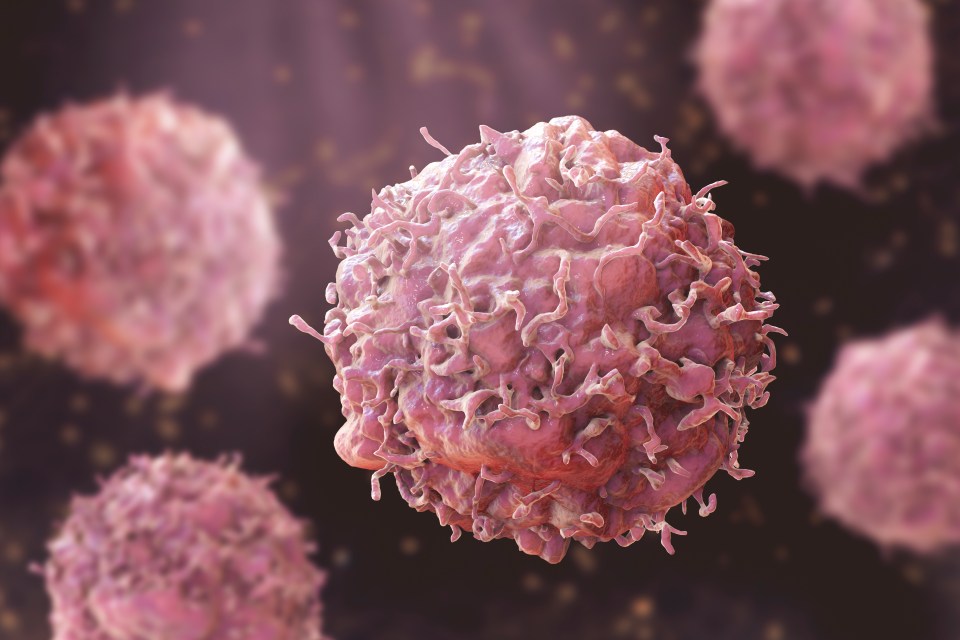 Illustration of cancer cells.