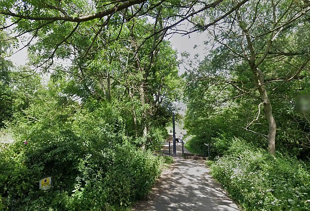 The attack happened on Tuesday at around 7pm in Telford Town Park, Shropshire, in a wooded area (file image of Telford Town Park)