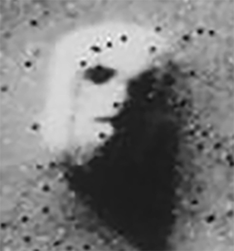 Mars surface resembling a face.