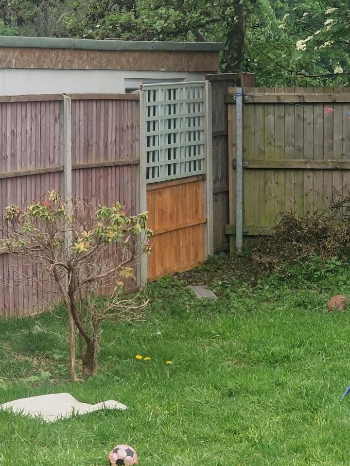 Neighbor's building viewed through fence.