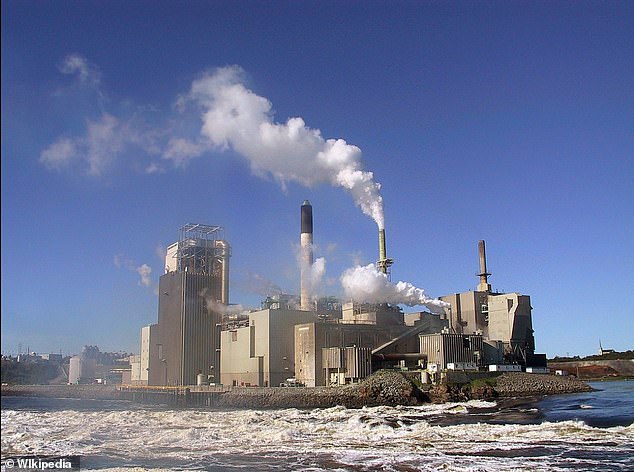 The above shows a pulp mill in New Brunswick, Canada, where reports suggested mysterious brain diseases had emerged