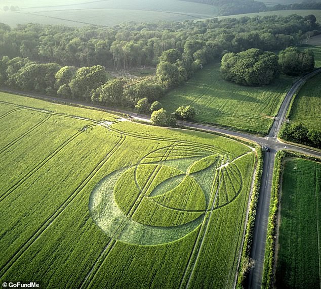 On May 19, a second crop circle was spotted 30 miles from the Celtic knot, in the UK county of Dorset