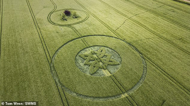 A crop circle resembling a Celtic knot or a four-pointed star was discovered in a field in the UK on May 15, making it the first reported crop circle of 2025