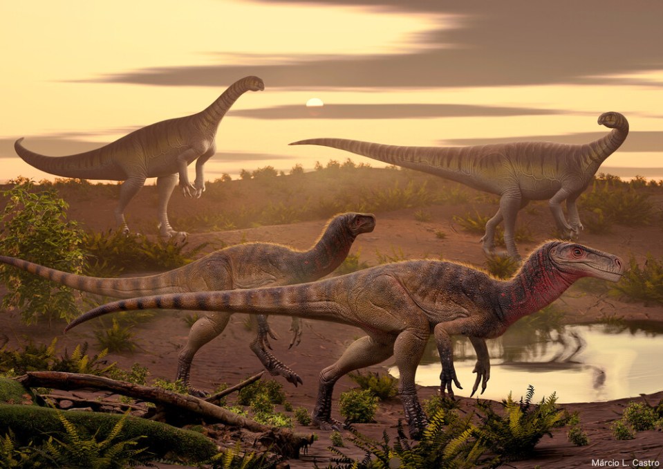 Illustration of four dinosaurs in a prehistoric landscape.