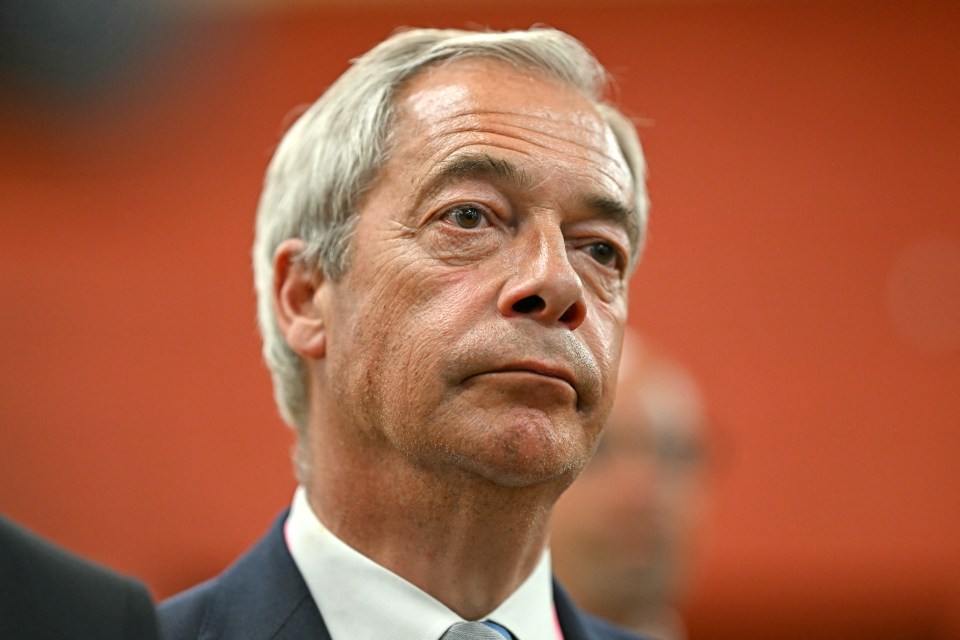 Nigel Farage at a by-election count.