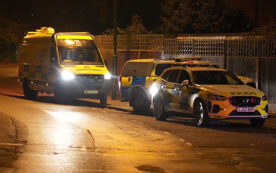Emergency vehicles at night at a fatal car accident scene.