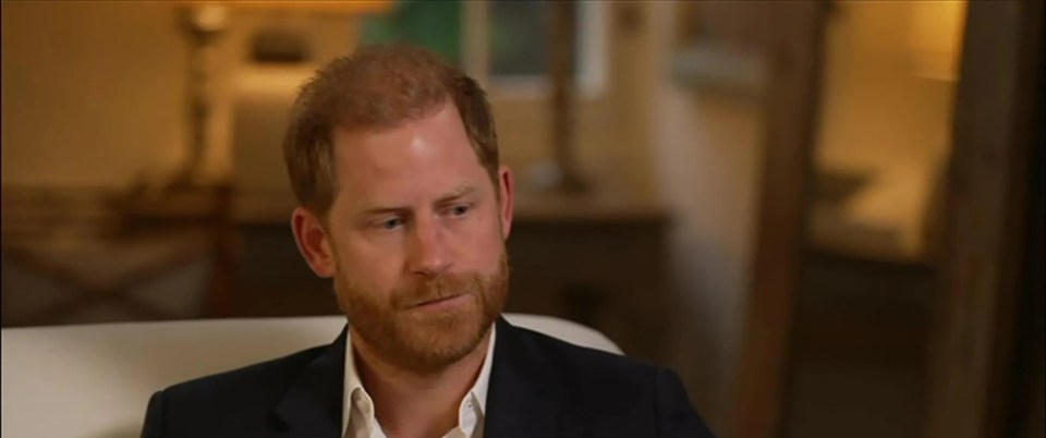 Prince Harry in an interview with BBC News.