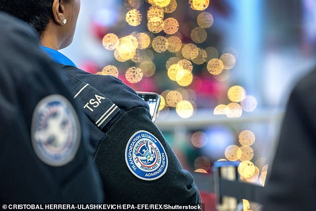 'Do not wear a dress through airport security for these two reasons,' Laurie detailed in the caption of her video (stock image)