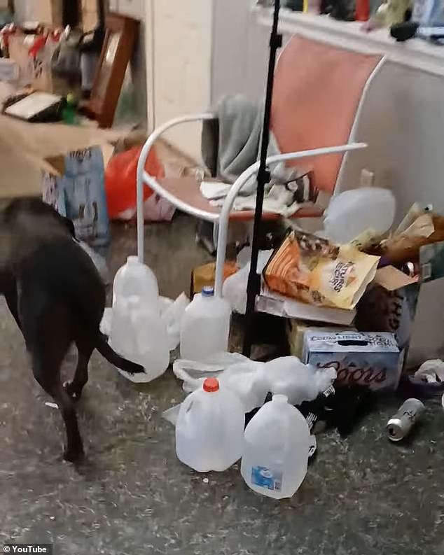 Spent beer cans, cardboard boxes, old water bottles can be seen littering the ground inside the home as their cat and dog roam around the rubbish