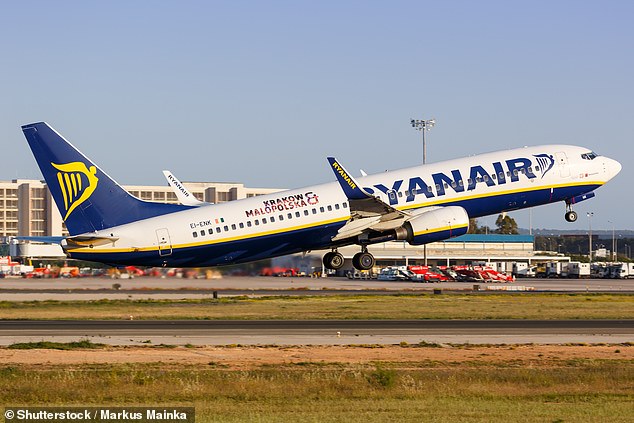 Spanish police have stormed a Ryanair flight from Newcastle to Alicante after five passengers began causing chaos in mid-air (File image)