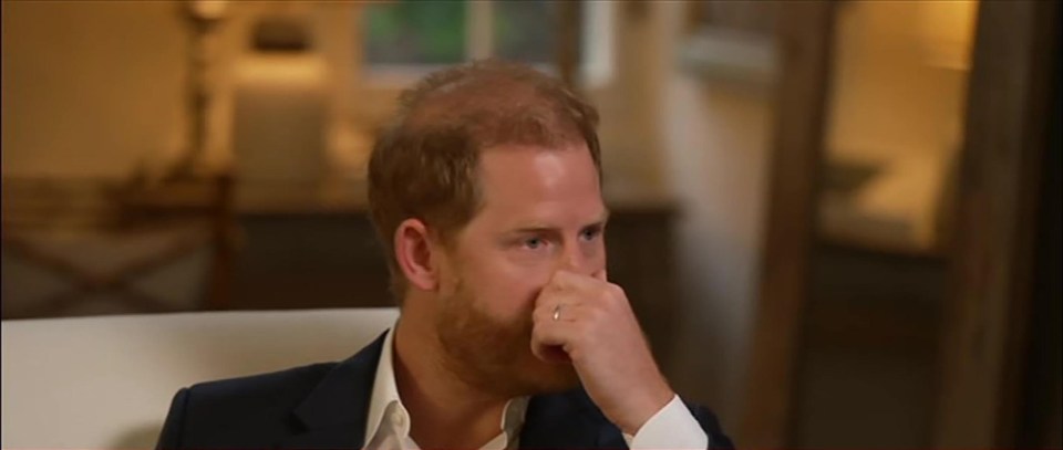 Prince Harry in an interview with BBC News.