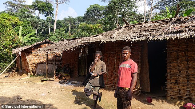 The Baka community live within one of the African Parks areas