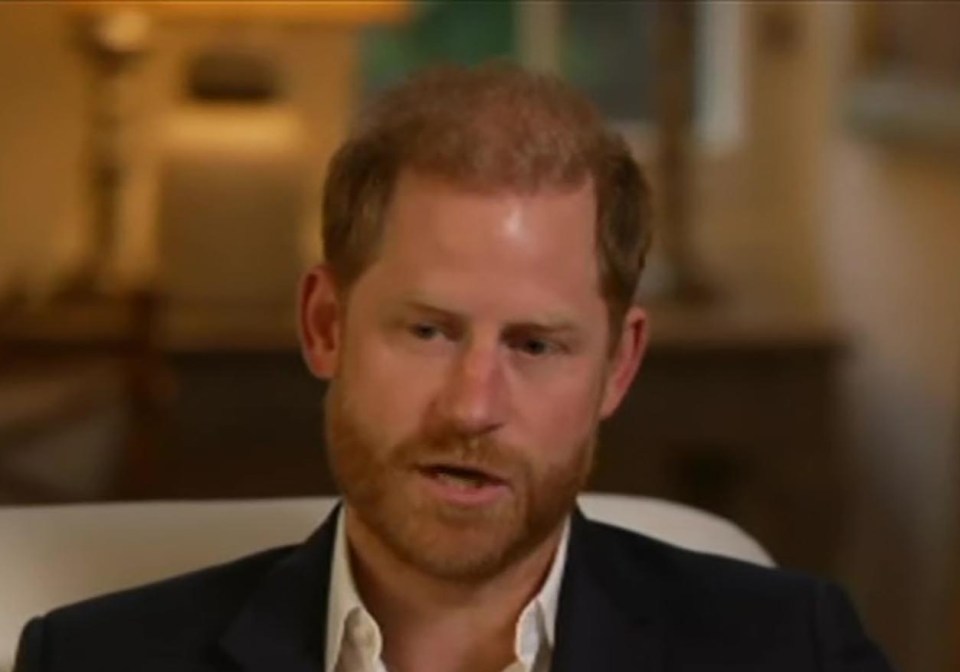Prince Harry in an interview with BBC News.