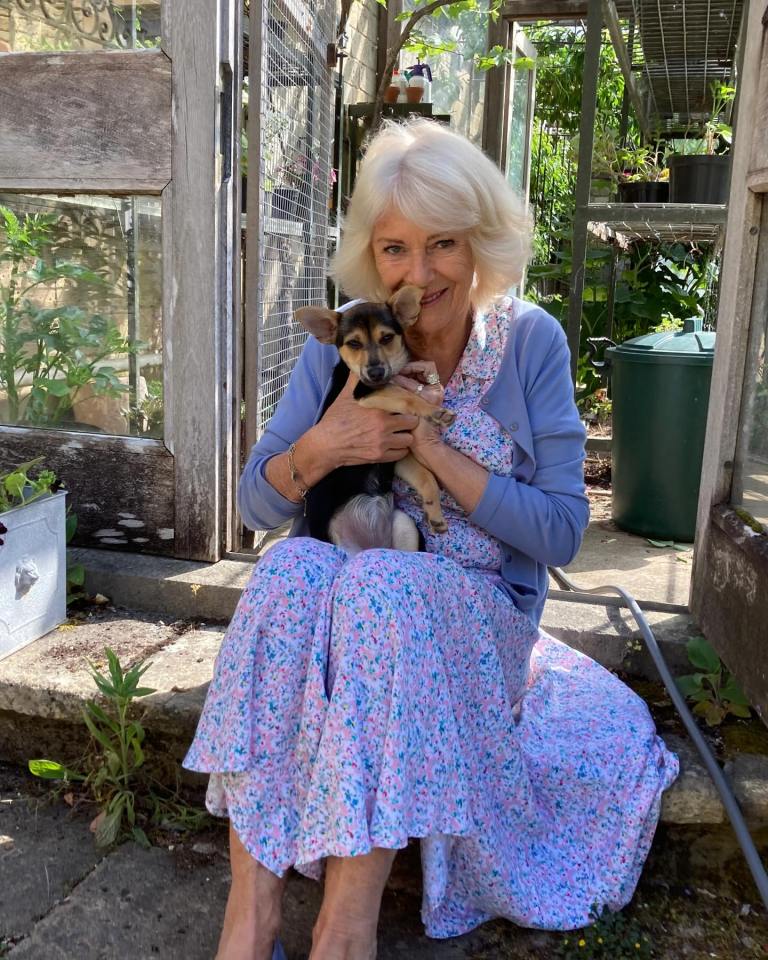 Camilla, Duchess of Cornwall, holding her new rescue dog, Moley.