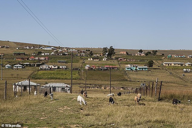 A raging mother beat a rapist to death with the help of an angry mob after finding her disabled daughter undressed in his house in South Africa. The mother arrived home after shopping in Cacadu, Eastern Province, last month to find her 20-year-old girl missing. Pictured: Cacadu