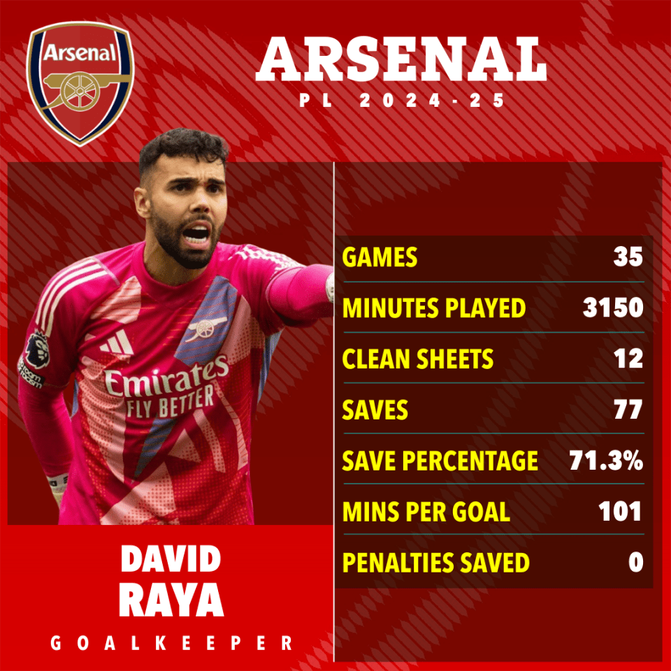 David Raya's Arsenal 2024-25 season statistics: games played, minutes played, clean sheets, saves, save percentage, minutes per goal, and penalties saved.