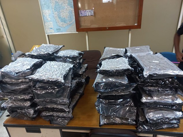 Police have released pictured of the £1.5 million cannabis stash a British former cabin crew member has accused of smuggling into Sri Lanka