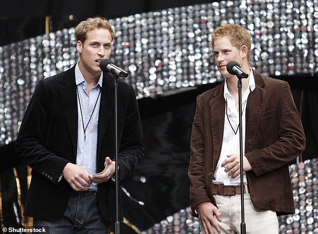 Prince William and Prince Harry speak on stage at the Concert for Diana on July 1, 2007