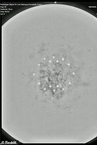 The object was recovered shortly after it landed and has since been analyzed by scientists, who discovered it features three layers of metal-like material and 18 microspheres surrounding a central nucleus they are calling 'a chip'