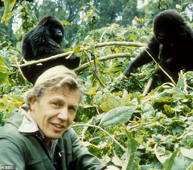 His groundbreaking Life On Earth series [pictured], which began in 1979, really put him on the map