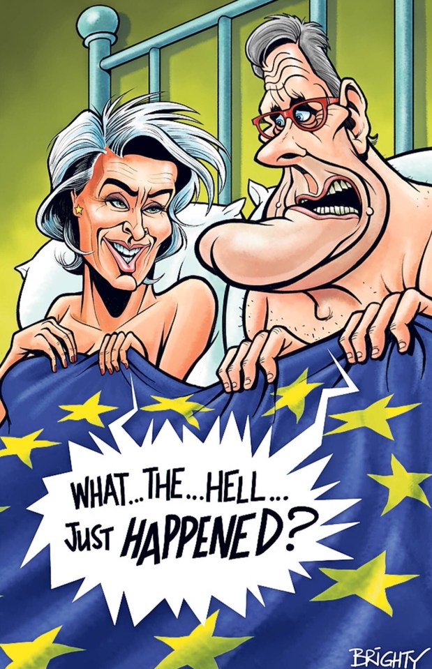 Illustration of Theresa May and Boris Johnson in bed under a European Union flag, with the caption "What...the...hell...Just Happened?"