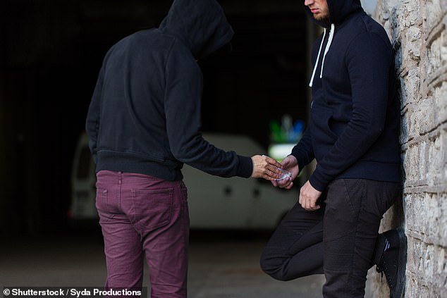 Thai gangs may be targeting young British backpackers and recruiting them as drug mules, according to a police expert