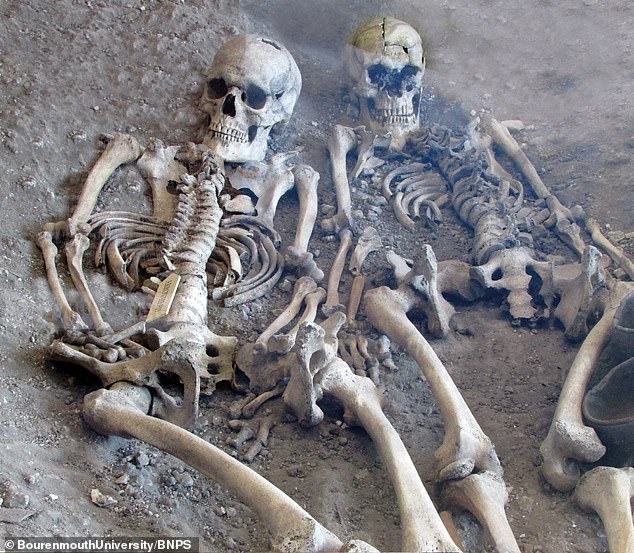 Mafia-like gangs roamed the countryside executing rival tribes in bloody turf wars in Iron Age Britain, new research has revealed. Radiocarbon dating of human remains (pictured) dug up in 1936 at Maiden Castle in Dorset has revealed the victims were actually killed 100 years before the Romans arrived