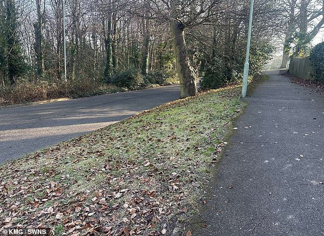 Residents in Chartham, Kent, were left horrified after an advert was revealed selling the grass verges outside their homes