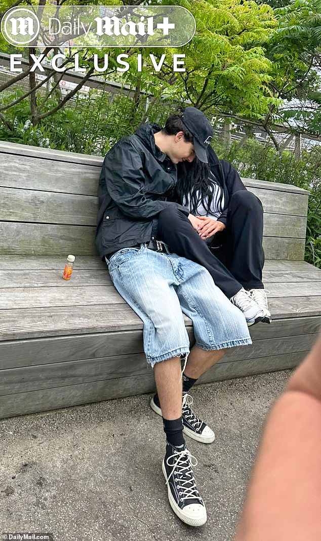 Kylie Jenner and Timothée Chalamet were mistaken as two lovestruck teenagers by one lucky New Yorker, who happened to spot the pair on an romantic park date