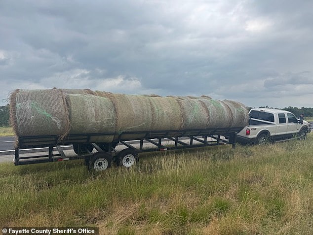 Sheriff's deputies uncovered a human smuggling operation after discovering multiple undocumented immigrants hidden inside meticulously altered hay bales during a routine traffic stop in Texas