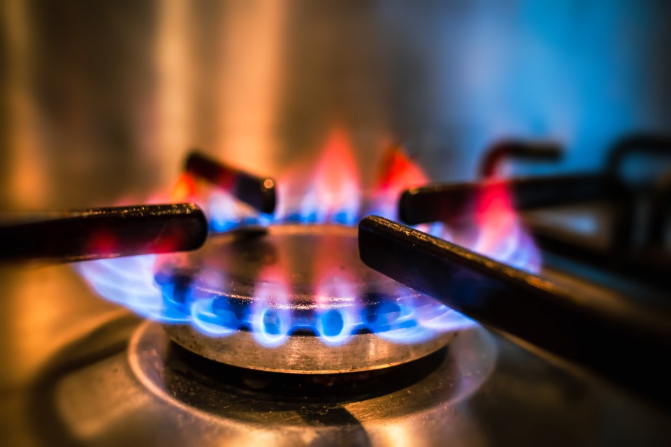 Close-up of blue and orange gas flames on a stovetop burner.