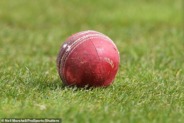 Transgender women have been blocked from taking part in all levels of women's cricket, the England and Wales Cricket Board has declared