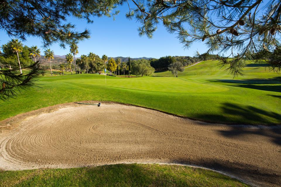 Santa Clara golf course sand trap and green.