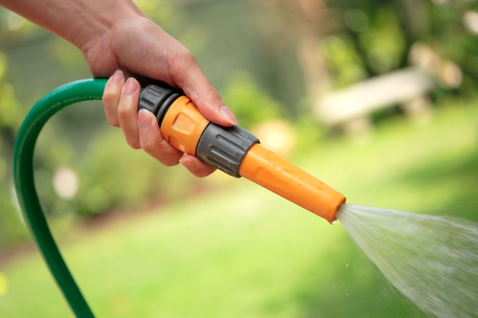 Hand holding a hose spraying water.