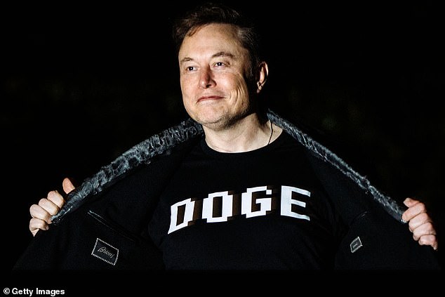 With the President’s full blessing, Musk and his merry band of DOGEsters – a group of mostly twentysomething data geeks – happily set about exposing and removing government waste and fraud