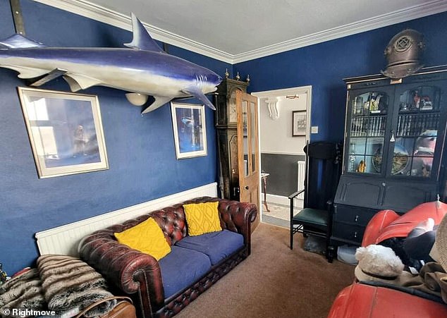 On closer inspection, however, it has a very unusual feature that might not float everybody's boat. An eight-foot shark