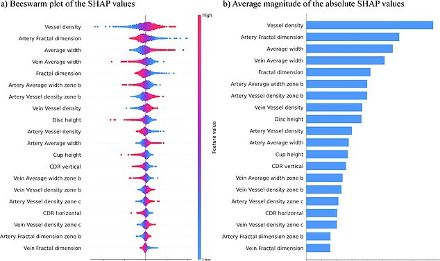 Using an AI computer model, with a 96 per cent accuracy rate, to predict the condition, the results found that those with ADHD had key differences in the eye, particularly in the shape and pattern of their blood vessels