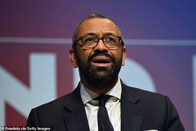 Labour's handling of migrant crossings has been criticised by James Cleverley (pictured)