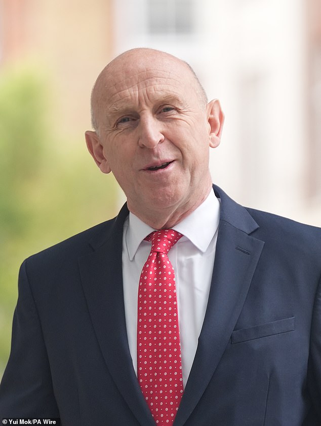 Sir Keir Starmer's Defence Secretary John Healey said Britain had 'lost control' of borders