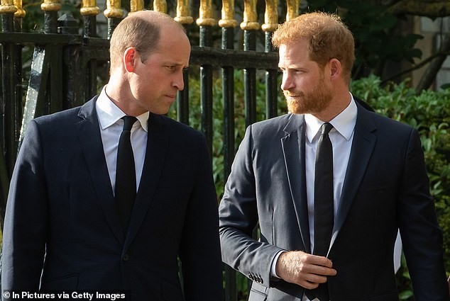 Royal expert Tom Quinn wrote it was Meghan who illuminated Harry's position of being spare