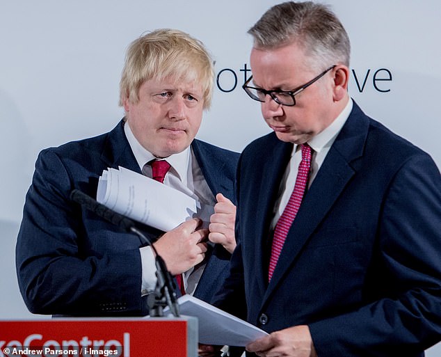 Mr Gove felt he could not support Boris Johnson in the Tory leadership campaign. He said: 'This man cannot be trusted to run the country'