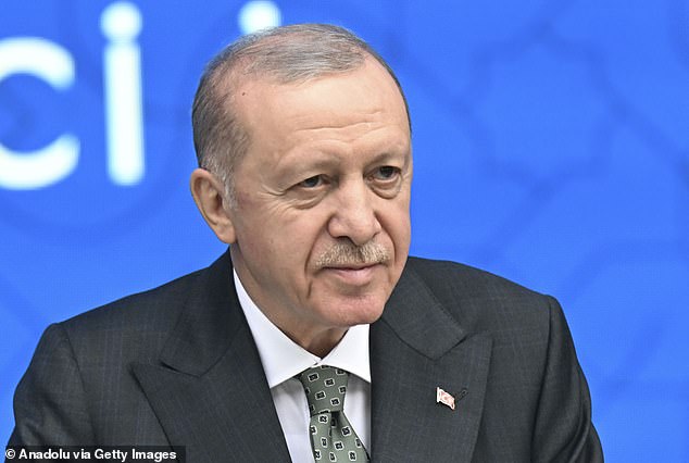 He accepts that burning the Koran was offensive. But he insists he committed the act to protest against Mr Erdogan (pictured) rather than Muslims in general