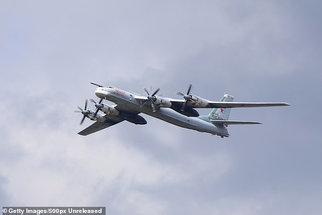 Ukraine took out an estimated £1.5billion worth of Russian military equipment, including several Tu-95s (pictured)