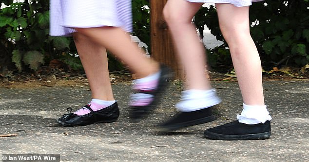 Factions within Labour oppose ending the cap because it is seen as fair by middle-class voters who have had to make difficult decisions about the size of their own families. Pictured: File photo