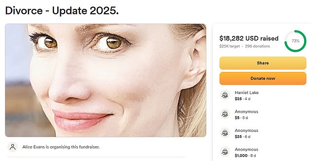 She then created her own Divorce fundraiser, setting up a GoFundMe which has so far raised $18,828, but admitted she was 'so embarrassed' to have to do so