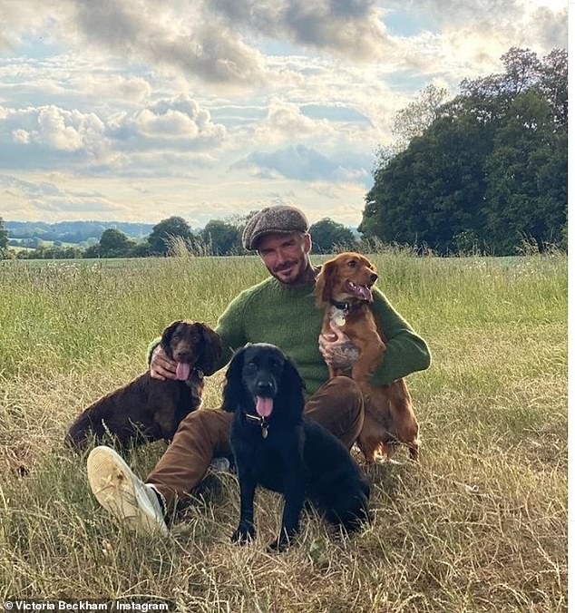 He shares the trio of shooting dogs with wife Victoria, after settling down in the Cotswolds and fully embracing the countryside life during the first lockdown in 2020