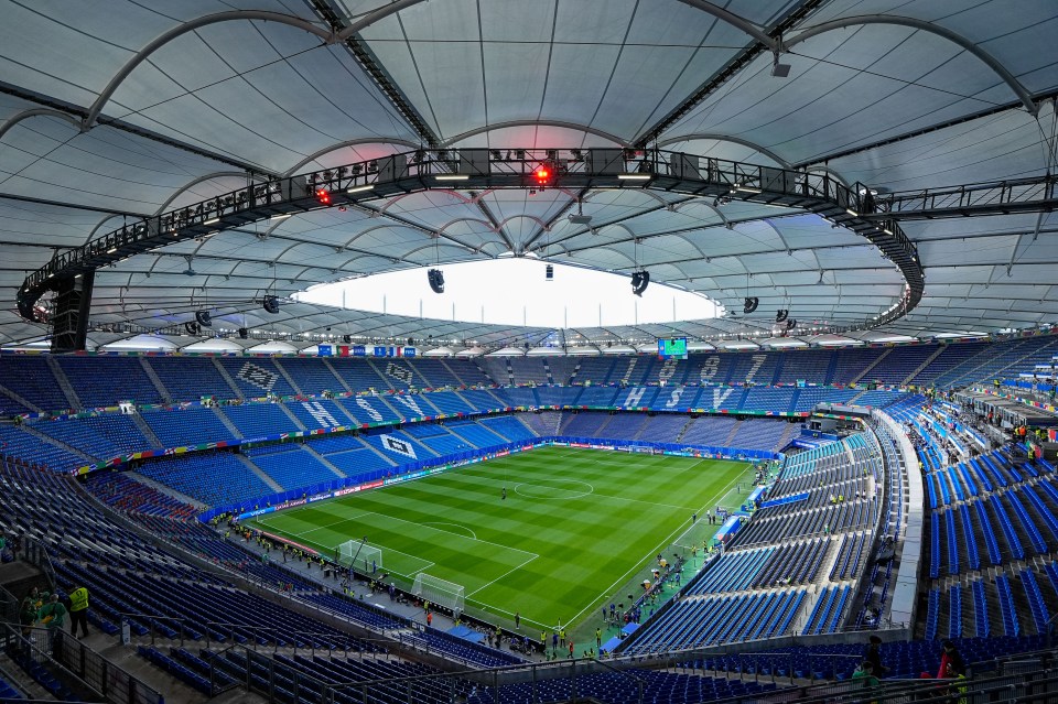 Hamburger SV fans celebrating on the pitch.